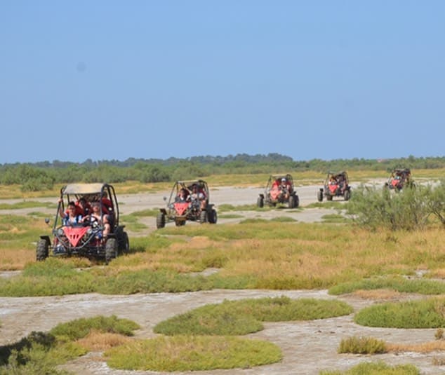 Buggy Safari