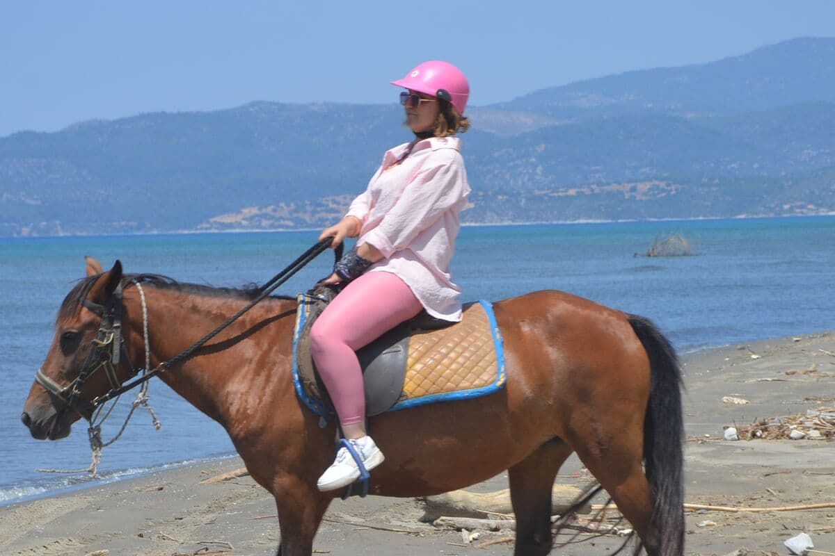 Family-Friendly Safari Options in Turkey: A Parent's Guide