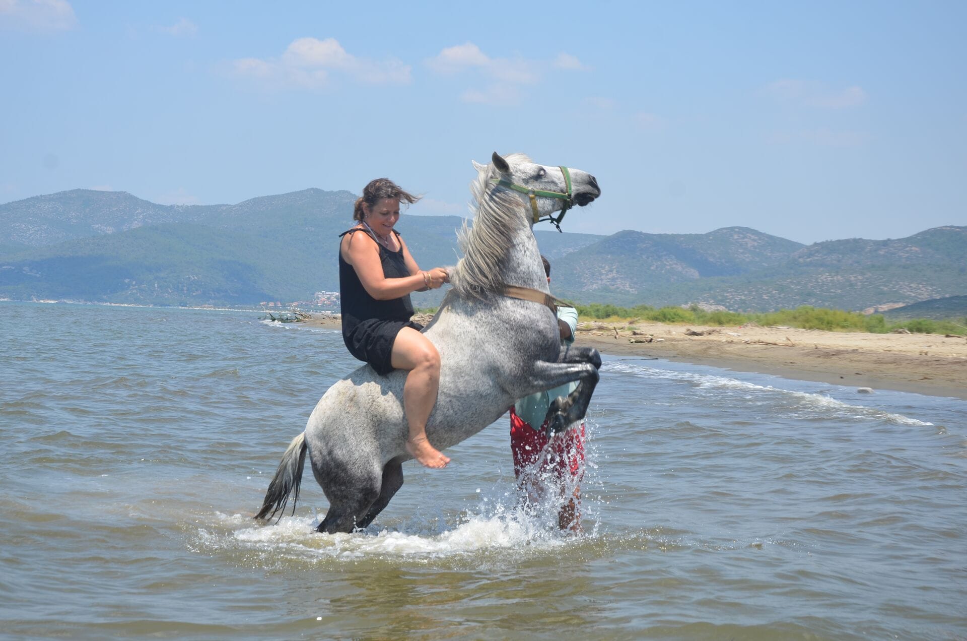 Horse Safari