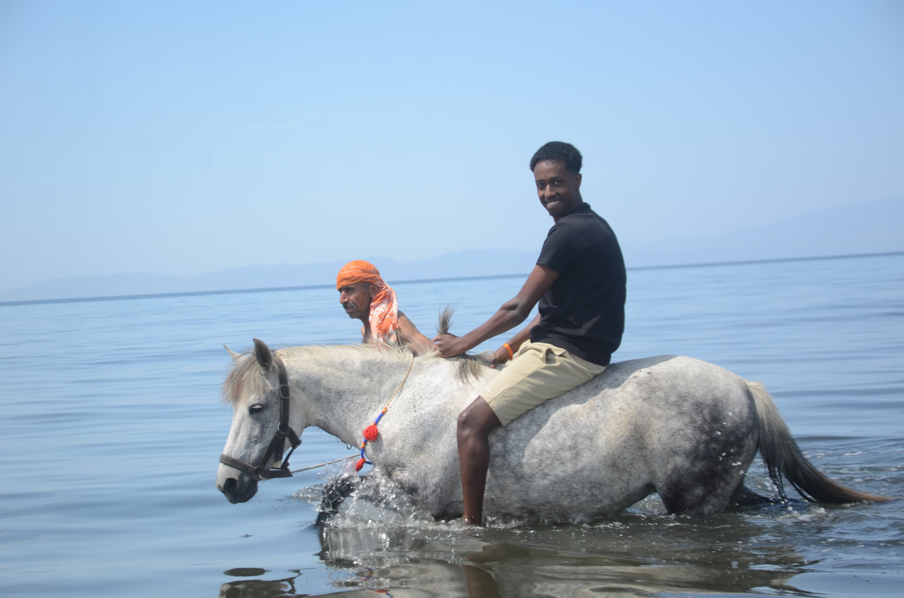 Horse Safari 1