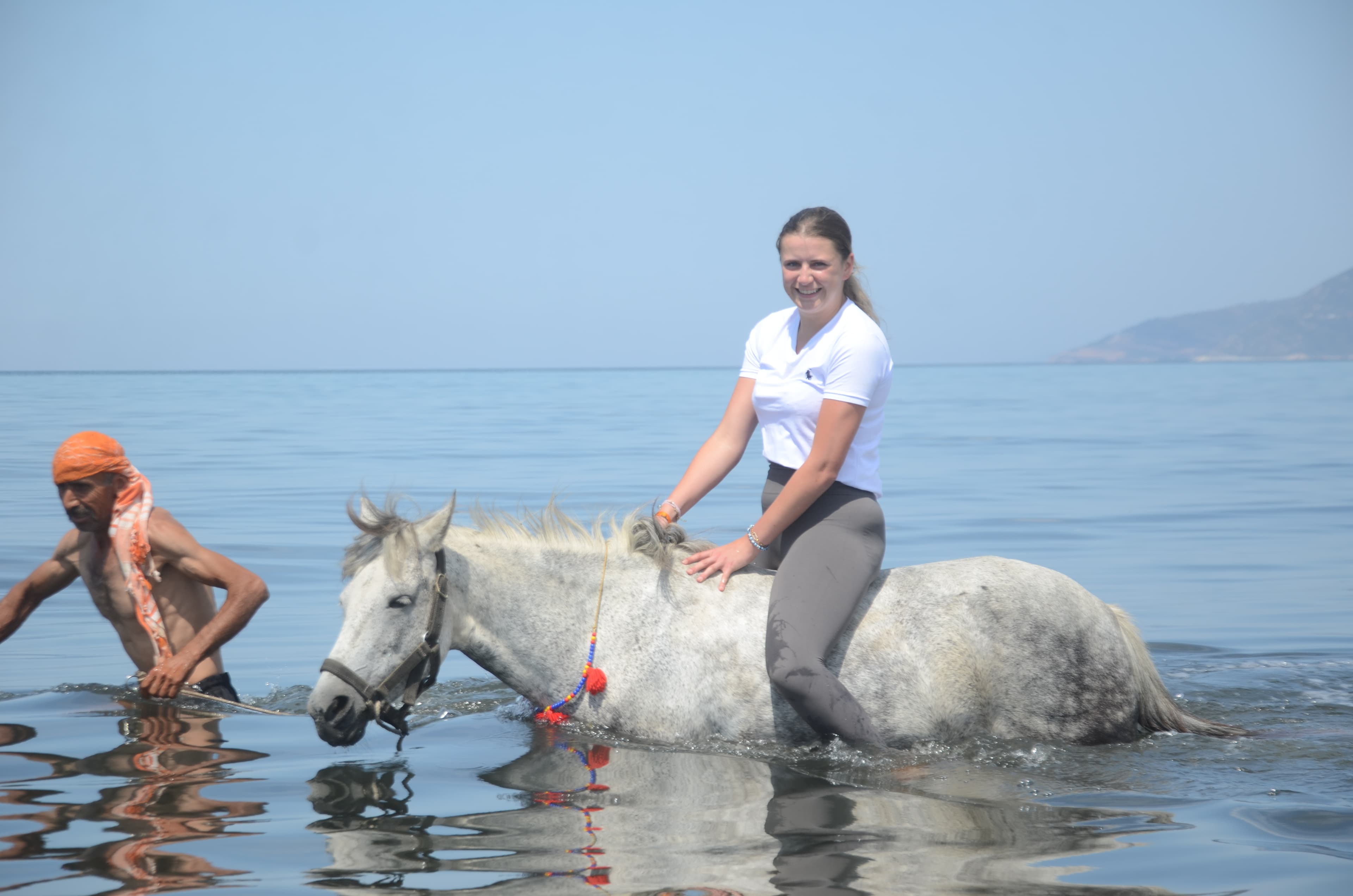 Horse Safari 3