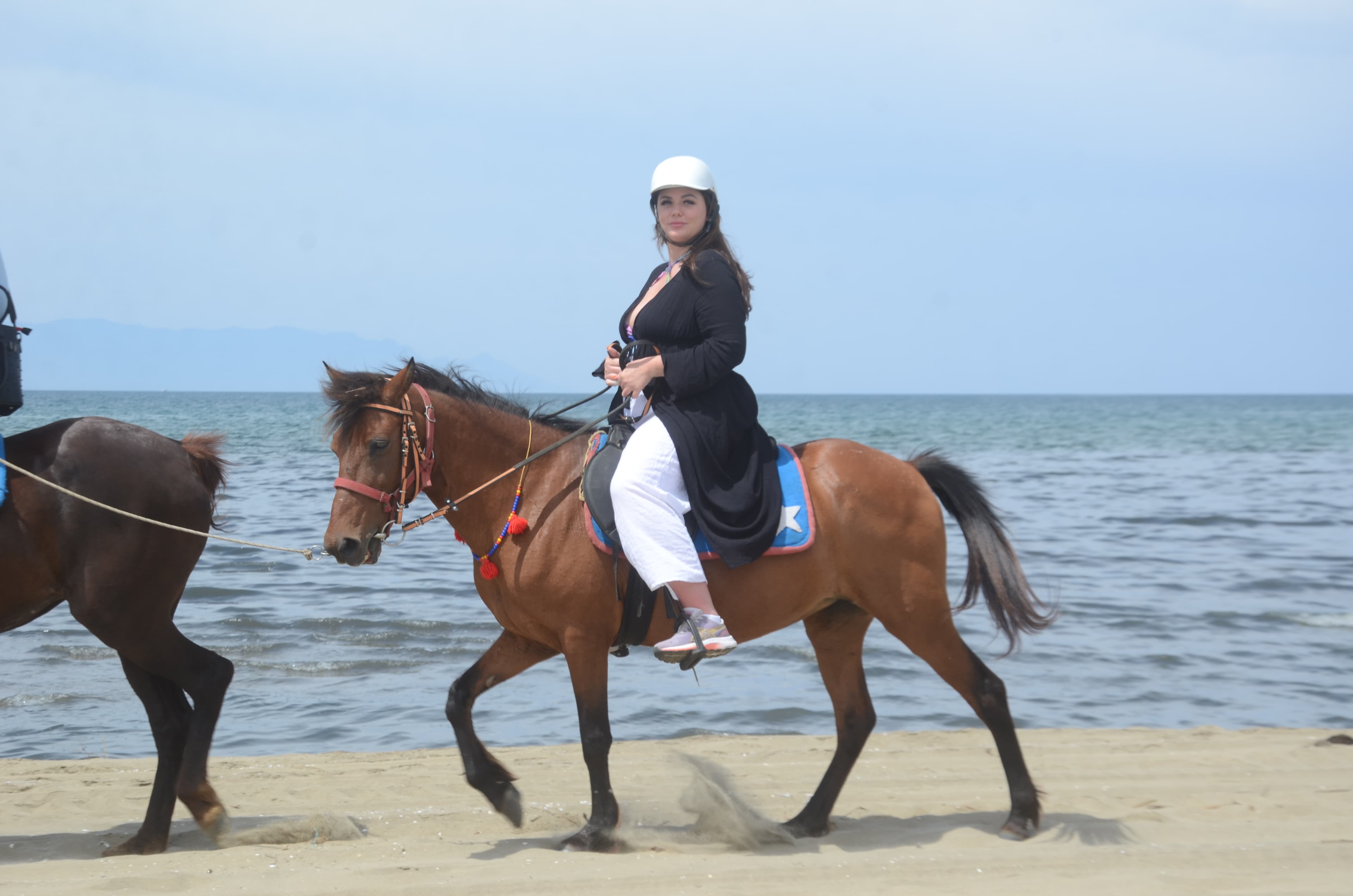 Horse Safari 4