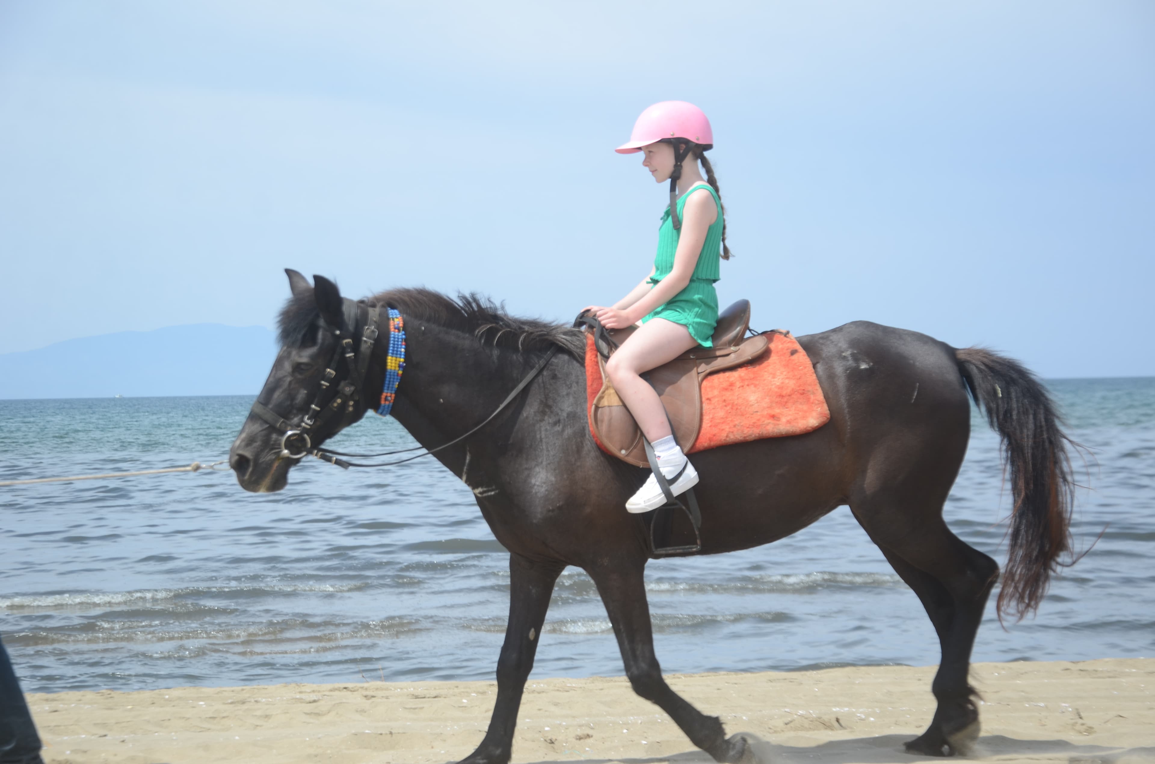Horse safari, photo 5