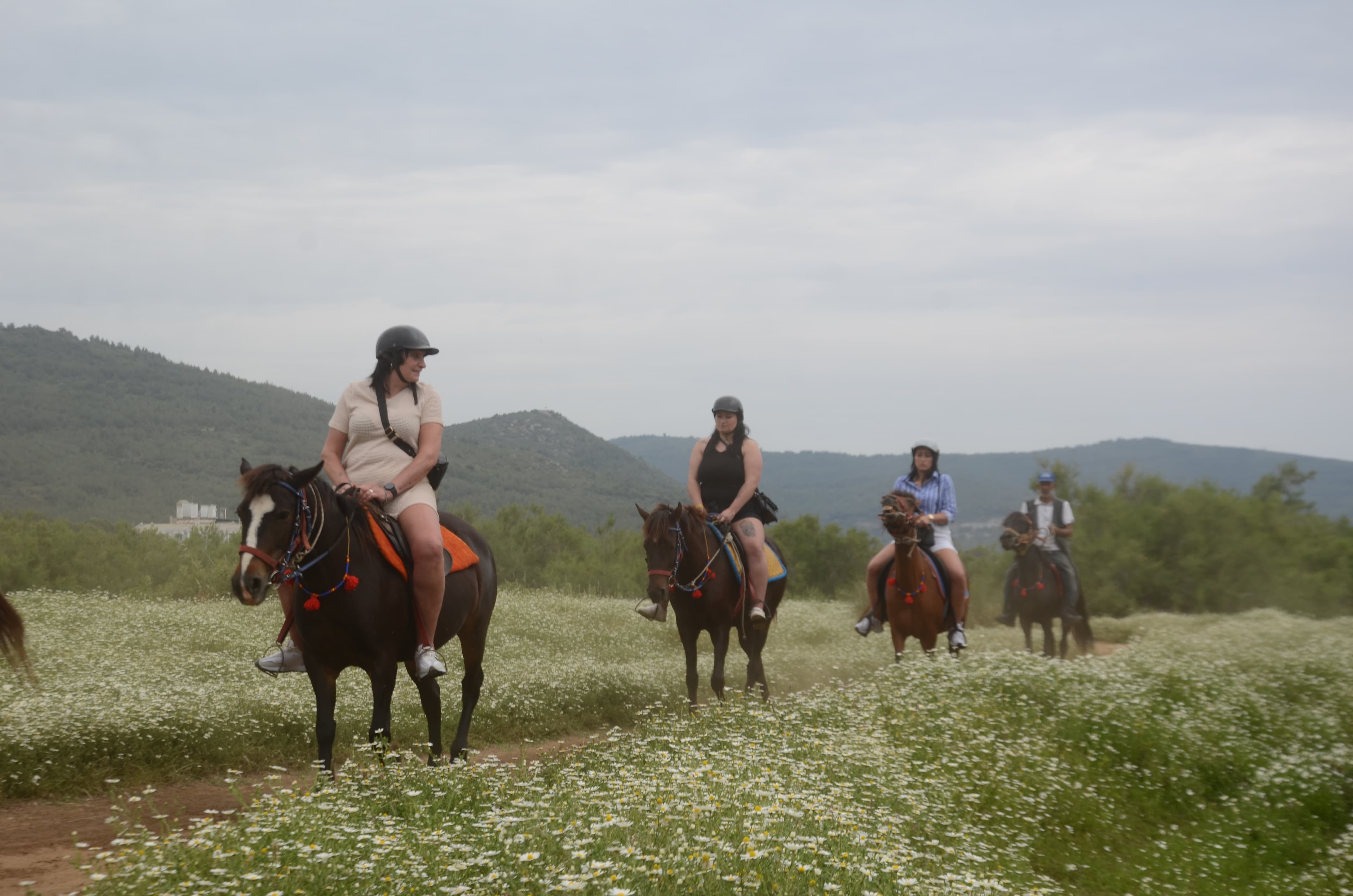 Horse safari, photo 6