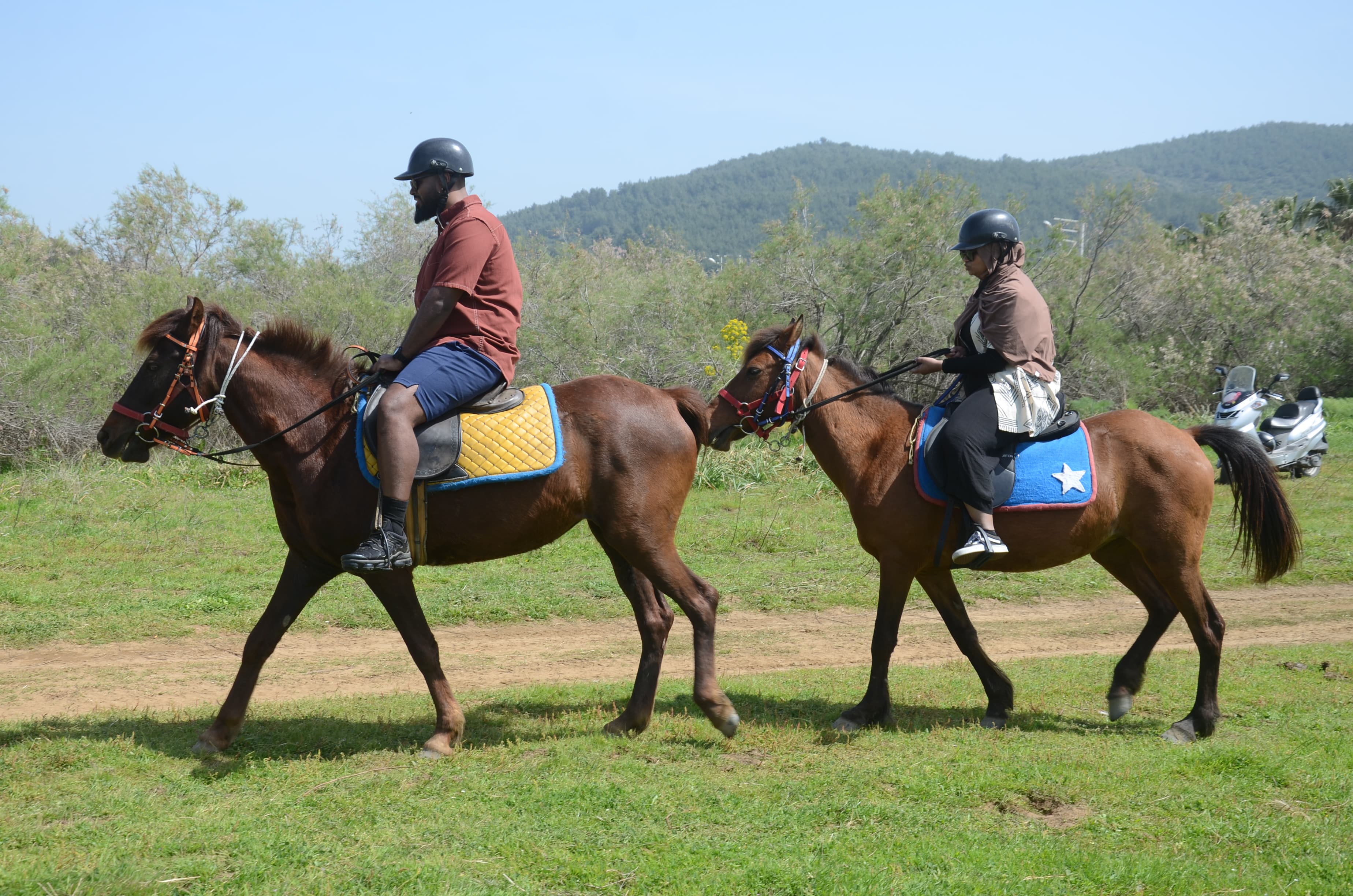 Horse safari, photo 7