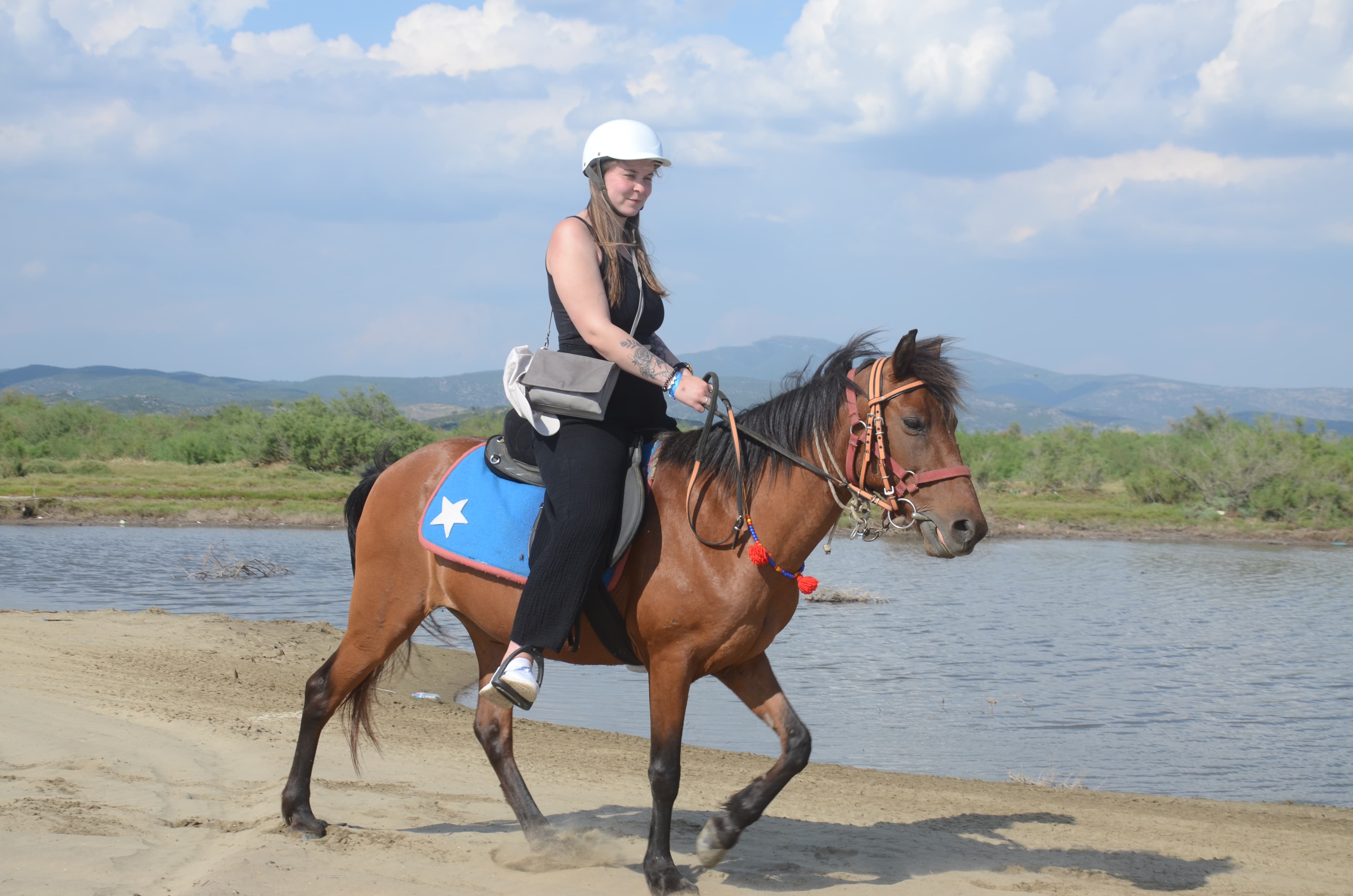 Horse Safari
