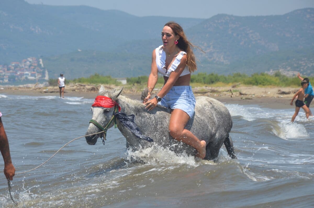 Horse Safari