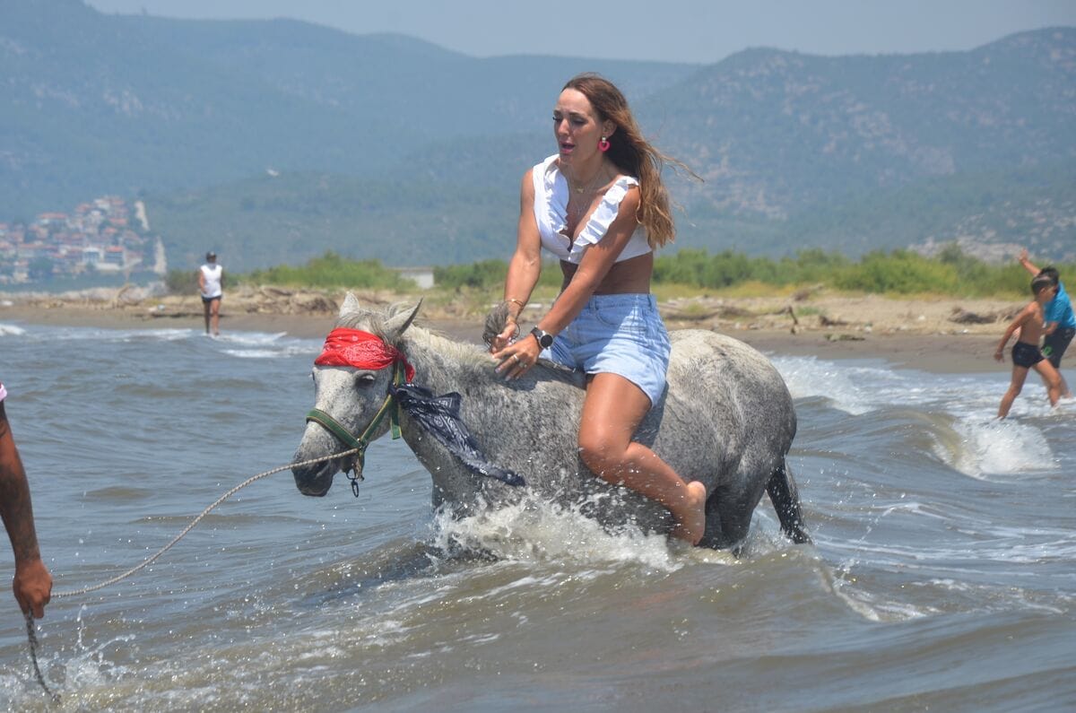 Horse Safari