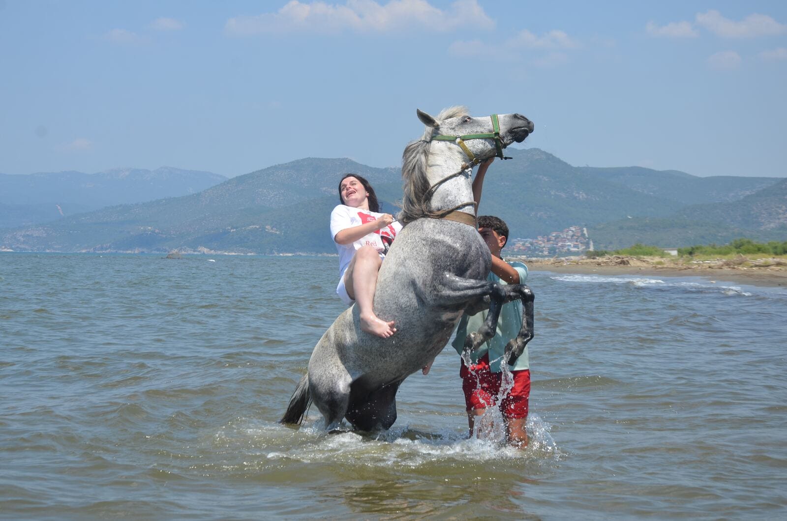 Horse Safari 1