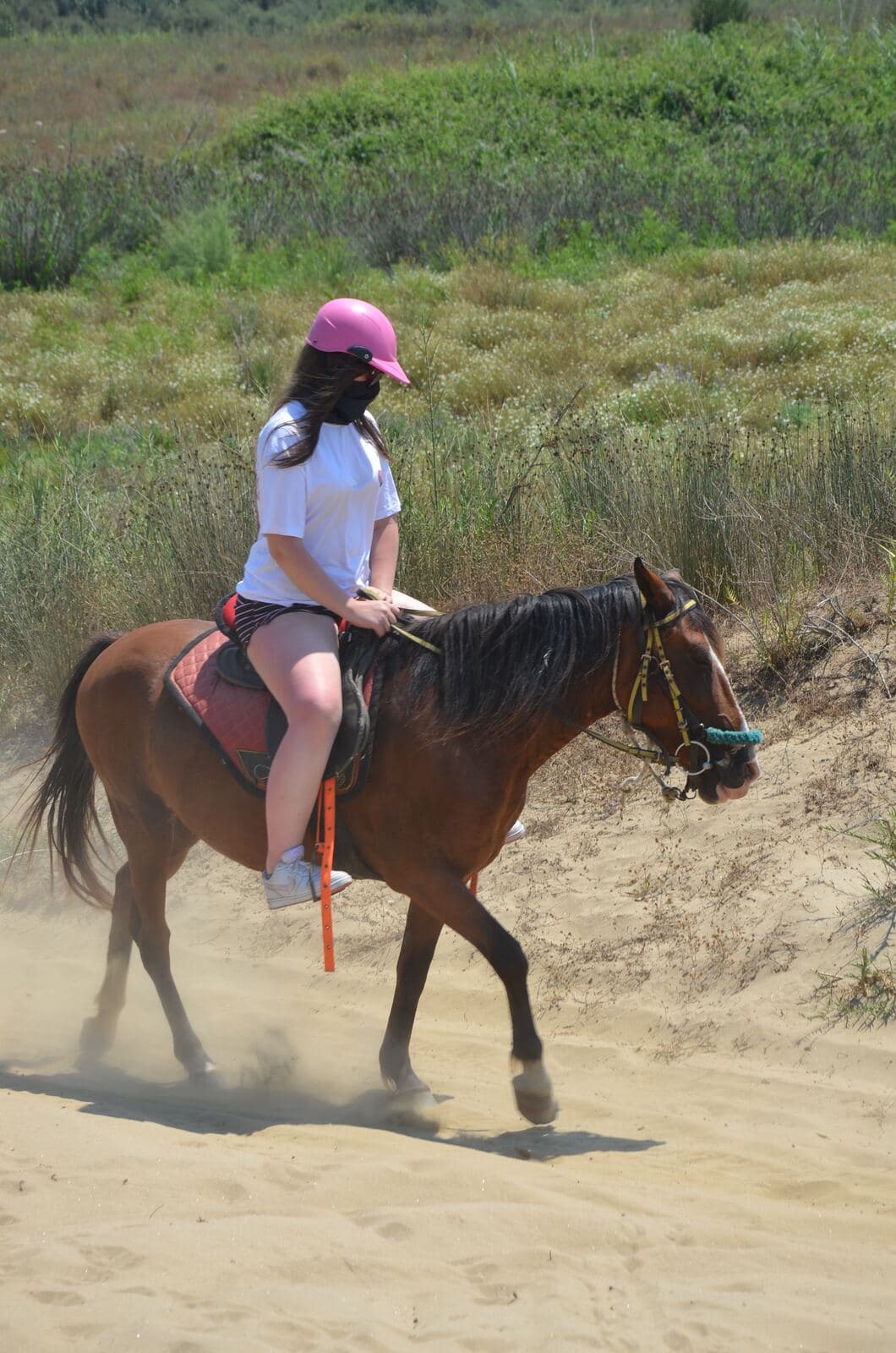 Horse Safari, photo 4
