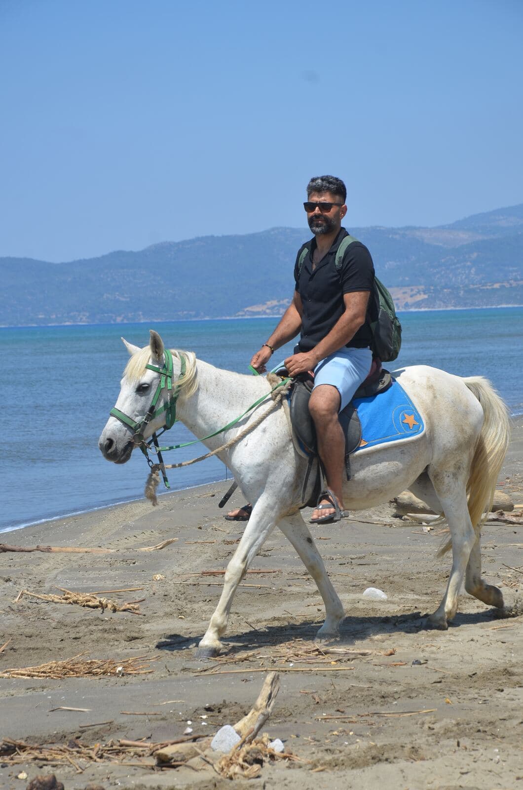Horse Safari, photo 5