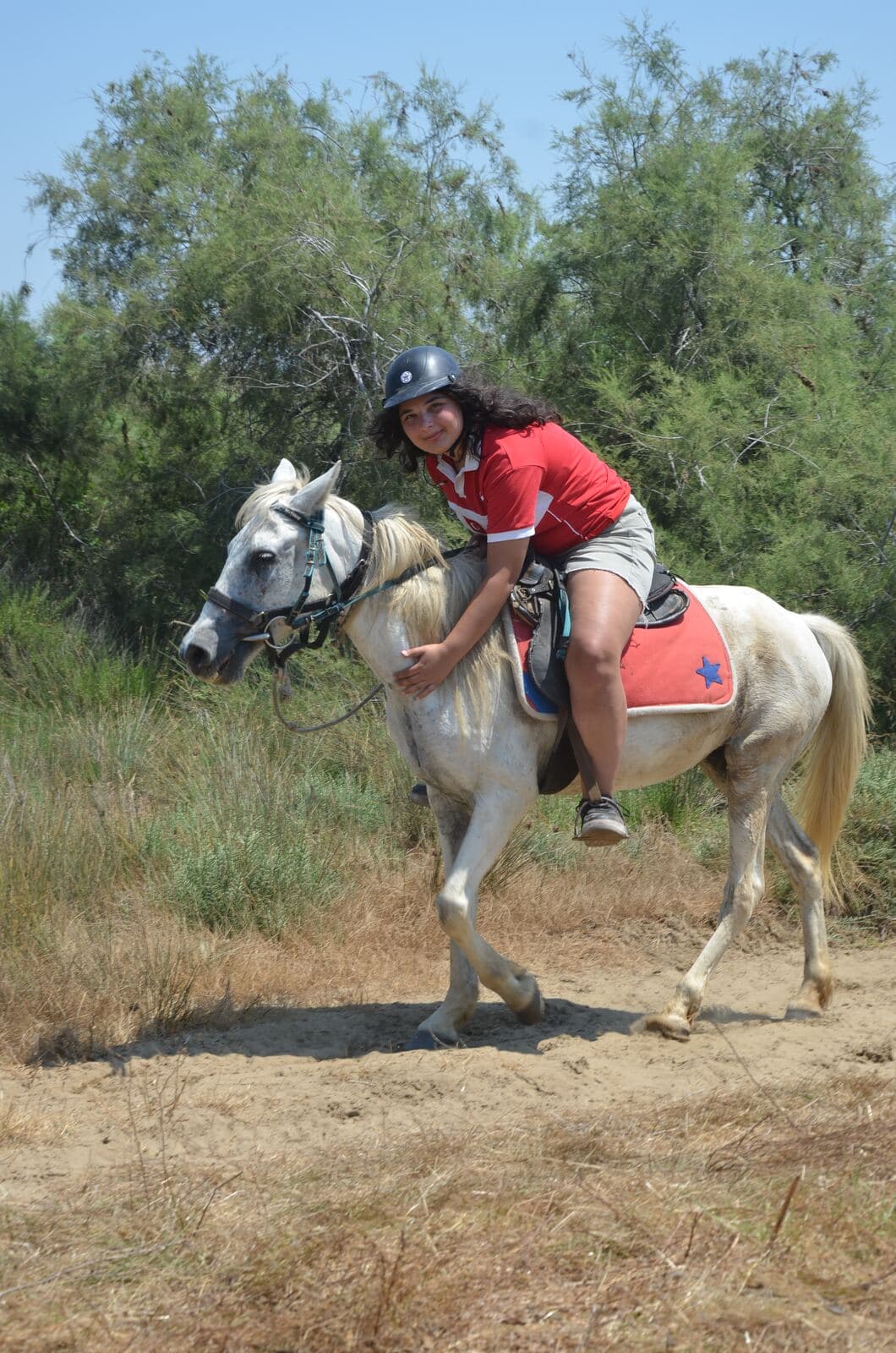 Horse Safari, photo 6