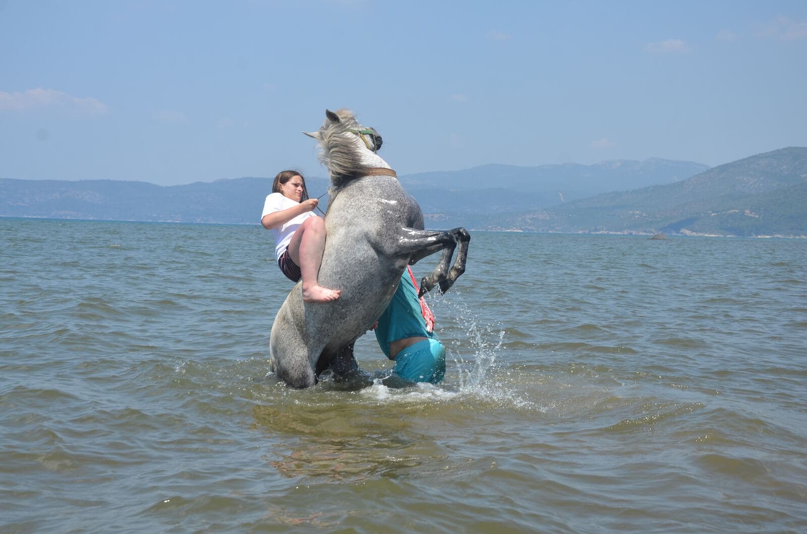Horse Safari, photo 7