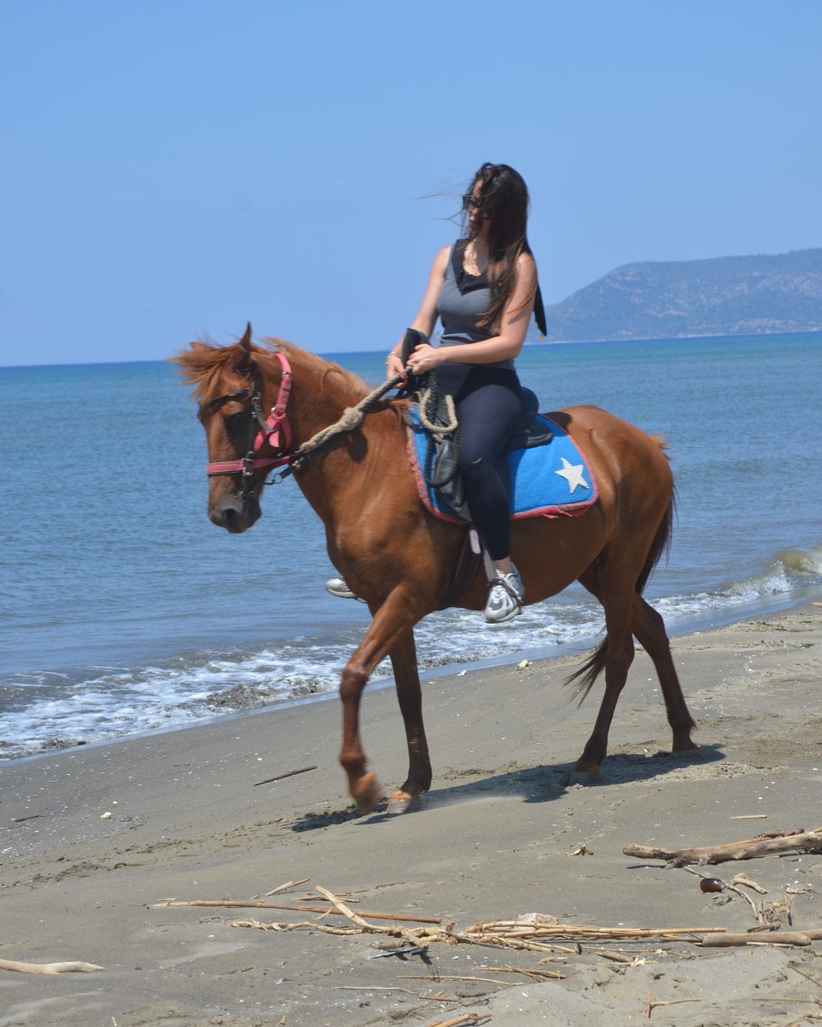 Horse Safari · Pamucak